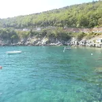 Franelli